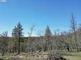 57 Klickitat Mountain M - Photo 12