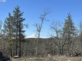 57 Klickitat Mountain M - Photo 13