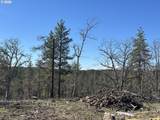 57 Klickitat Mountain M - Photo 14