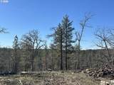 57 Klickitat Mountain M - Photo 15