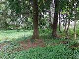  Knappa Dock Rd - Photo 13
