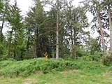  Knappa Dock Rd - Photo 6