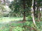  Knappa Dock Rd - Photo 7