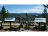 38859 Jerger St - Photo 22