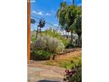 1235 C St - Photo 34