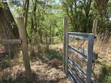 78705 Echols Rd - Photo 21