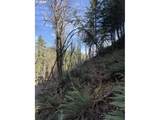  Butte Creek Crossing - Photo 12