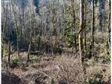  Butte Creek Crossing - Photo 13
