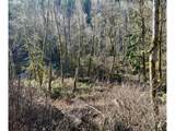  Butte Creek Crossing - Photo 2