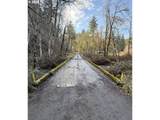  Butte Creek Crossing - Photo 6