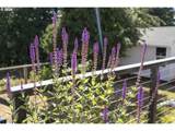 309 Overlook Dr - Photo 40