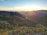  Skamania Mines Rd - Photo 1