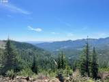  Skamania Mines Rd - Photo 13