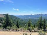  Skamania Mines Rd - Photo 14