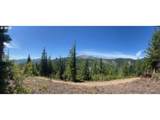  Skamania Mines Rd - Photo 3