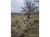 44 Dightons Ln - Photo 6