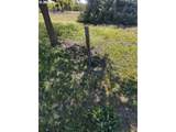 1400 Lone Pine Blvd - Photo 3