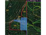 31890 Cater Rd - Photo 46