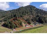 9660 Sollie Smith Rd - Photo 3
