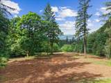 18755 Buena Vista Dr - Photo 1