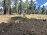  Old Stage Rd - Photo 4