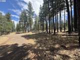  Old Stage Rd - Photo 6