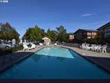22838 Forest Creek Dr - Photo 15