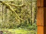 26715 Still Creek Rd - Photo 43