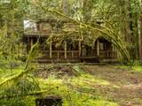 26715 Still Creek Rd - Photo 44