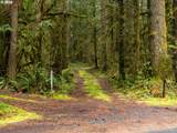 26715 Still Creek Rd - Photo 47