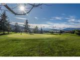 702 Divot Loop - Photo 36