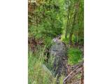 61608 Wallowa Mountian Loop - Photo 12
