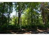 2429 Archwood Dr - Photo 6