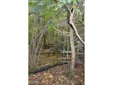  Warren Rd - Photo 18