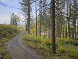  Warren Rd - Photo 2