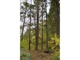  Warren Rd - Photo 20