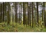  Warren Rd - Photo 21
