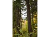  Warren Rd - Photo 26