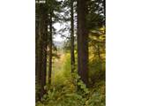  Warren Rd - Photo 27