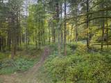  Warren Rd - Photo 4
