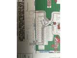 11503 142ND Ct - Photo 3