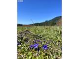 000 Eden Valley Rd - Photo 10