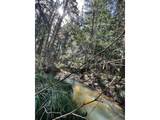 000 Eden Valley Rd - Photo 9