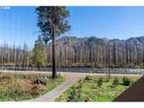 52633 Mckenzie Hwy - Photo 30