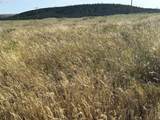 Oak Flat - Photo 2
