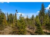  Lonesome Pines Dr - Photo 7