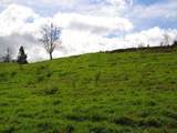  Skyview Rd - Photo 3