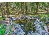 38 Meadows Loop - Photo 45