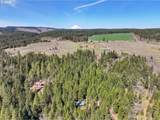 38 Meadows Loop - Photo 46