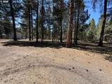 51377 Mitchell Rd - Photo 13